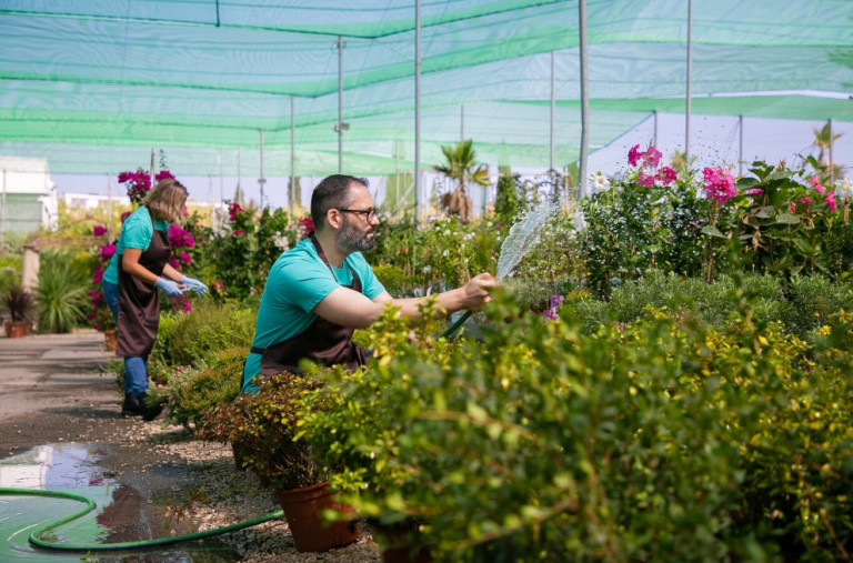 Professional Residential Irrigation Contractors in Sylvania – Your Partner for Lush, Efficient Lawns